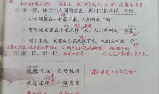 我是什么二年级语文